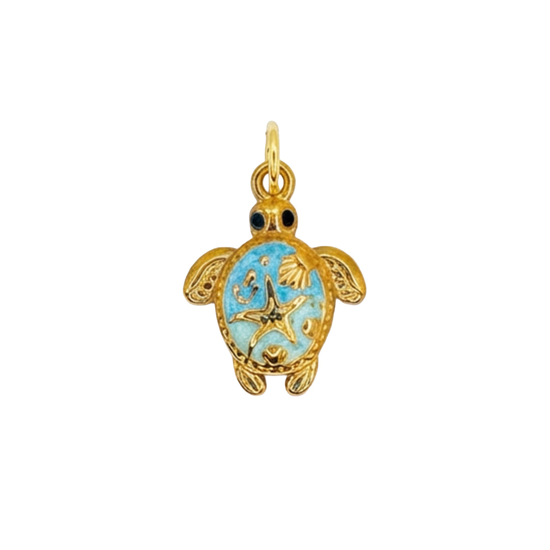 Charm sea turtle